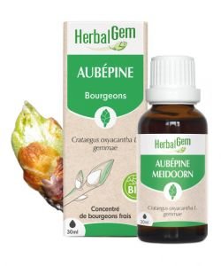 Aubépine (Crataegus oxyacantha) bourgeon BIO, 30 ml